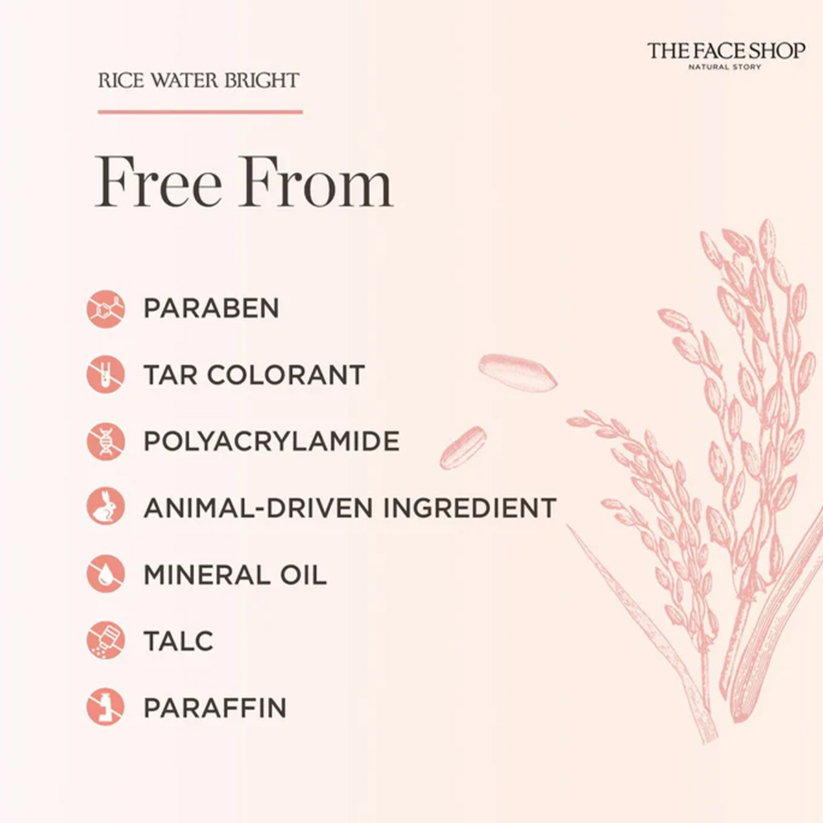 THE FACE SHOP RICE WATER BRIGH – Luxury Skincare Cleanser recenzja i cena